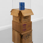 James Gregory Atkinson, Teenager Leila Negra (Mädchenfalle), 2025