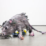 Marcaccio-Ratte-8757