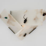 Maria Loboda, IGNORE THE UNPAID BILLS ON THE USM HALLER TROLLEY, 2022