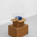 James Gregory Atkinson, Teenager Leila Negra (Mädchenfalle), 2025