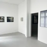 Shuster + Moseley, Living Light, 2020