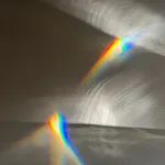 Shuster + Moseley, Living Light, 2020