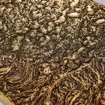 Ado Chale, "Relief d'agate" coffee table