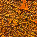 David Eisenhauer, Cassiopeia