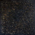 David Eisenhauer, Cassiopeia