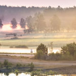 Ulf Lundin, Bilder av en familj / Pictures of a Family (4), 1996