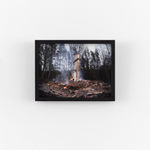 Petra Lindholm, Avalon, 2025