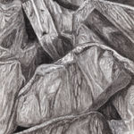 Jeff Olsson, Skogens ingång / The Forest’s Entrance, 2025