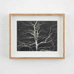 Carl Hammoud, Whence One Came, 2024