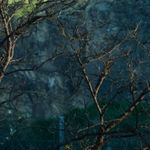 Ulf Lundin, Sälen (August 5, 2021), 2023