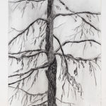 Jeff Olsson, Skogens ingång / The Forest’s Entrance, 2025