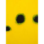 Leif Elggren, Special Edition 21/25, 2019