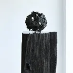 James Harris, Photographic Leaf Abstraction, 2019