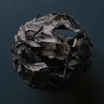 James Harris, Photographic Leaf Abstraction, 2019