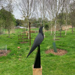 Carl Longworth, Poise