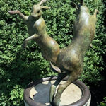 Jacob Dhein, Musician