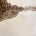 Stephen Bithell, Water Lilies on Artist's Pool