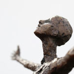 Carol Peace, Winter Sun