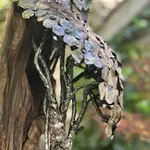 David Cutler, The Allium, 2024