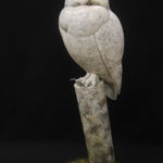 Adam Binder, Pair of Otters, 2023