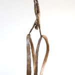 Carol Peace, Winter Sun