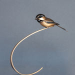 Carl Longworth, Poise