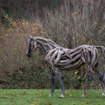 Jason Pizzey, Magnolia, 2023