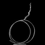 Carol Peace, Winter Sun