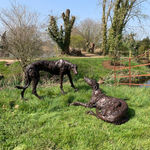 Paul Harvey, White Dove