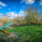 Charles Elliott, Verdigris and Gold Spiral