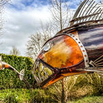 Paul Harvey, White Dove