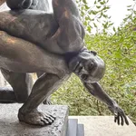 Nick Bibby, Wren IV, 2026