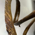 Carol Peace, Winter Sun