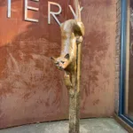 Paul Harvey, White Dove