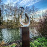 Paul Harvey, White Dove