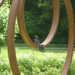 Carol Peace, Winter Sun