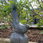 Paul Harvey, White Dove