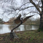 Bronze resin sculpture of mythical Greek winged figure Icarus by Nicola Godden, displayed on integral stone plinth, set in front of lake