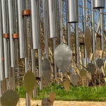 Paul Harvey, White Dove, 2023