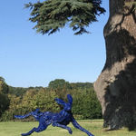 Paul Harvey, White Dove