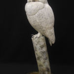 Adam Binder, Pair of Otters, 2023