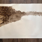 Stephen Bithell, Water Lilies on Artist's Pool