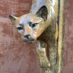 Paul Harvey, White Dove