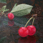 Still life painting of cherries