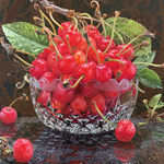 Still life painting of cherries