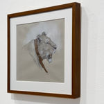 Graphite, pen, and ink drawing of a lion with a tracking collar