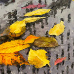 Reflection of city buildings in a puddle with fall leaves in it