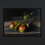 Jan Teunissen - Peren Duo