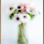 Merette Uiterwaal, Lichamen Samen In Beweging, 2022