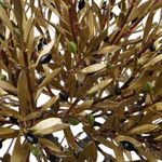 Aggelos & Filippos Panayiotidis 2 Become 1 (2 Γίνε 1) & stair